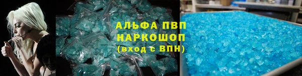хмурый Абаза