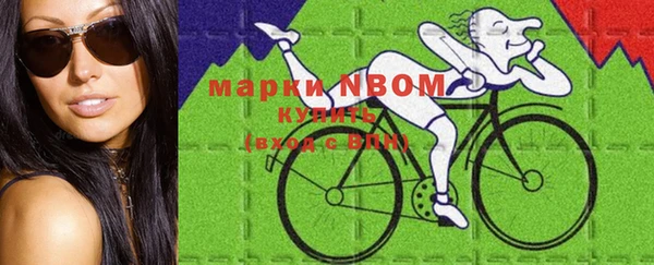 хмурый Абаза