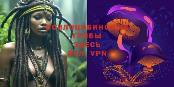 хмурый Абаза